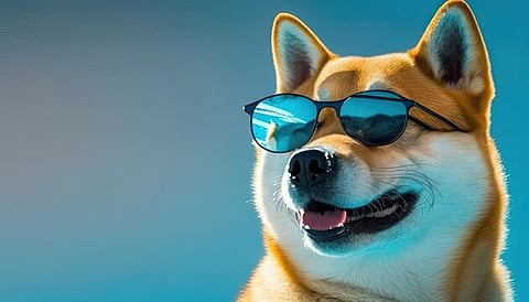 Dogecoin Gains Bullish Momentum Near $0.11 Amid Volatile Market Conditions