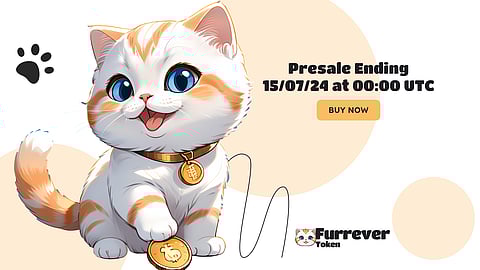 Investor Alert! July's Most Important Event is Coming, Ethereum and Solana Investors' Eyes on Furrever Token Launch