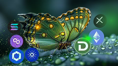 Presale Superstar DTX Exchange Approaches $1M at Record Pace as Demand Surges from AVAX and Notcoin Whales