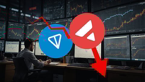 Market Slump Hits TON and AVAX, DIGI Shows Strong Growth