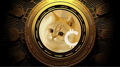 CATCOIN