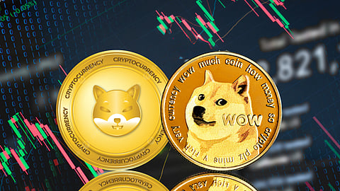 Shiba Inu Dogecoin