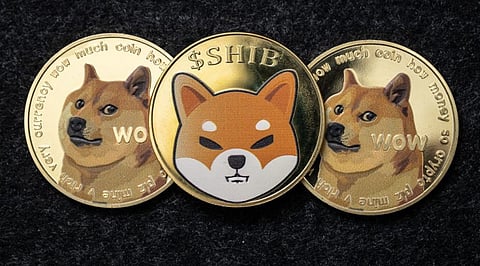 Meme Coin Market Expansion Ramps Up - Top Tokens Your Portfolio Needs This Year