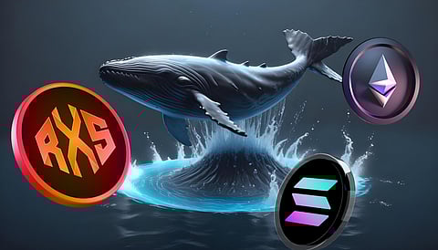 Under $0.10 RWA Crypto Rexas Finance (RXS) Rivals Ethereum (ETH) and Solana (SOL) for Whale Favorite Status—Here’s Why It’s a Must-Buy