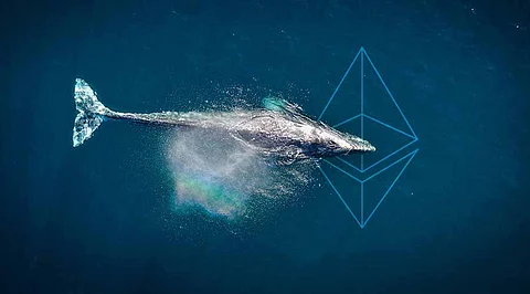 Ethereum Whales Sold Over $490 Million Worth of ETH In 7 Days - Smaller Investors Focus On These Presales