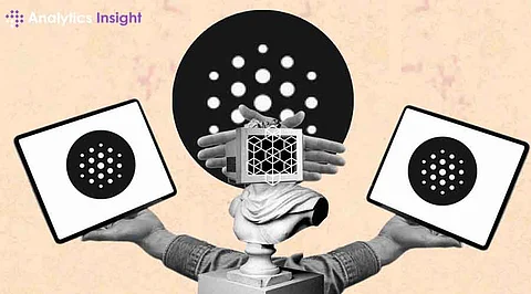 How to Use Blackbox AI?