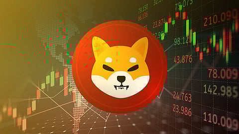 Shiba Inu