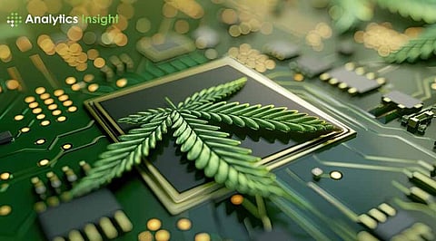 AI Powerhouse G42 Partners with Nvidia for Climate Solutions