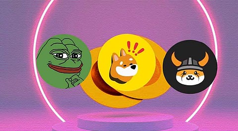 WIF Leading Meme Coin Market Rally - New Projects Destined For Massive Gains