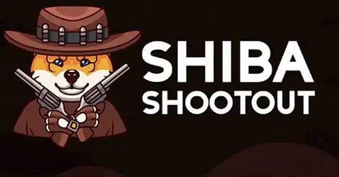 Shiba Shootout
