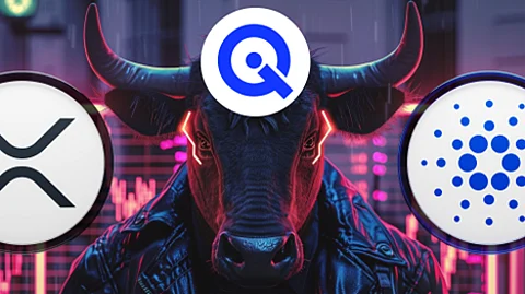 WallitIQ
