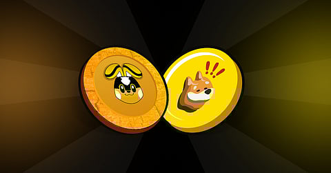 bonk-and-new-altcoin