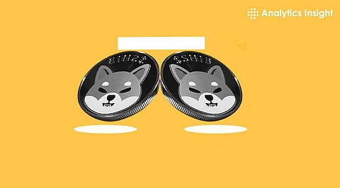 Shiba Inu cryptocurrency