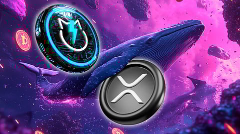 Can XRP Pump to $10 while JetBolt Skyrockets in Whale Frenzy