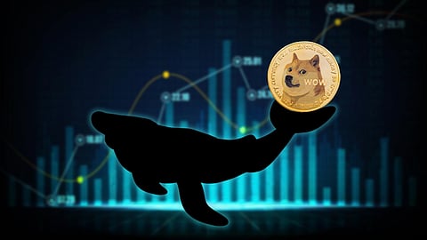 Dogecoin Whale