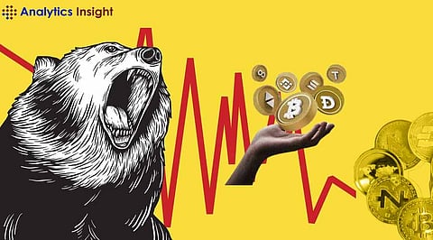 Best Cryptocurrency to Invest in a Bear Market