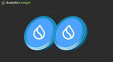 SUI Coin Price Prediction: Why is it Rising