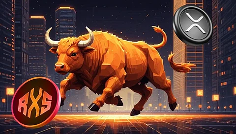 Rexas Finance
