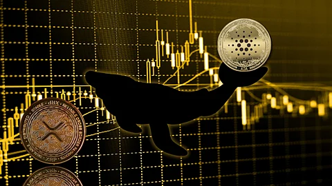 RCO Finance