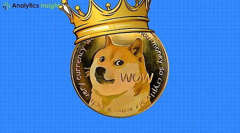 Dogecoin Price Analysis: What to Expect in November 2024