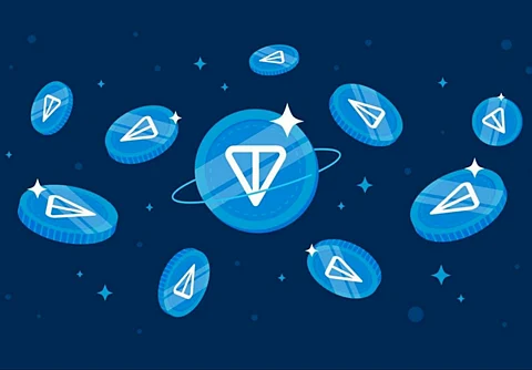 Zig Network