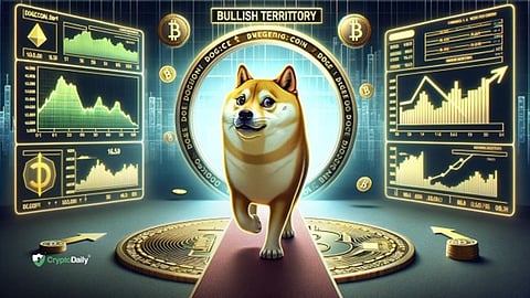 Zig Network