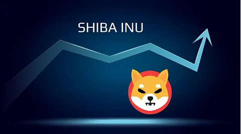 Shiba Inu to Hit $0.0001 in The Next 6 Months? New Memes Outperforming The Market