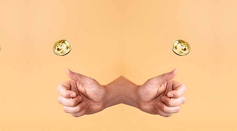 Best Meme Coin Presales That Can Help You Turn $100 Into A Fortune!