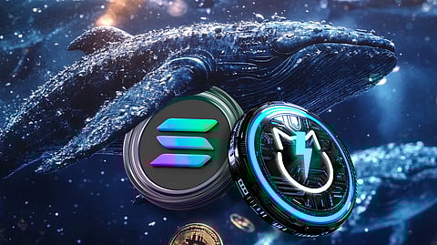 Canary Capital Files for Spot Solana ETF as Whales Shift Attention to JetBolt’s Explosive Presale