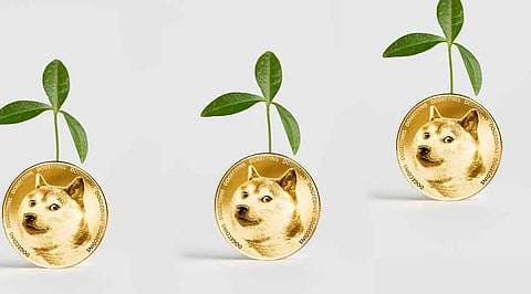 Looking For The Next 100X Meme Coin Investment? These Projects Are Preparing For Massive Pumps