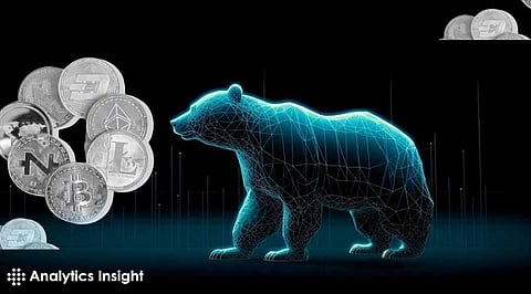 Top Cryptocurrencies to Watch During a Bear Market