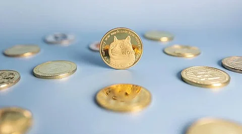 Meme Coin Market Enters Hyper Growth