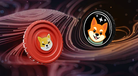 Bonk Coin Price Prediction
