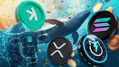 Why Crypto Whales Are Bullish on These Altcoins_ Kaspa, JetBolt, Solana, and XRP