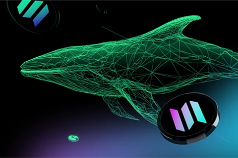 Lunex Network