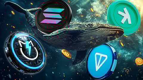 Whale Secrets_ Why Are Crypto Whales Buying Solana, Toncoin, Kaspa, and JetBolt in Altseason