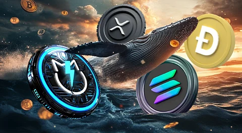 What Crypto Whales Know About Solana, Dogecoin, JetBolt, and XRP that Others Are Missing