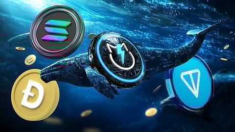 Why Whales Are Accumulating These Coins_ Toncoin, Solana, JetBolt, and Dogecoin