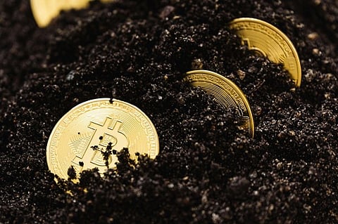 Top 5 Crypto Mining Platforms Revolutionizing the Digital Frontier