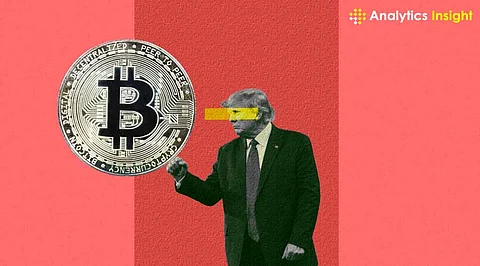 How Bitcoin Price Grew with Trump's Support?