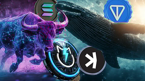 Which Coins Are Whales Buying For the Bull Run_ Solana, Toncoin, JetBolt, and Kaspa