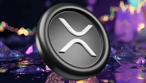 Rexas Finance