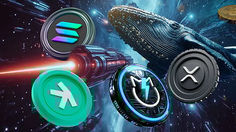Next Big Crypto To Explode _ Why Whales Think Solana, JetBolt, XRP, and Kapsa Could Skyrocket