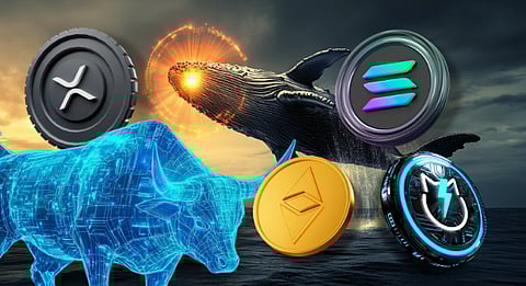 Why Whales Are Accumulating XRP, Solana, Ethereum, and JetBolt This Bull Run