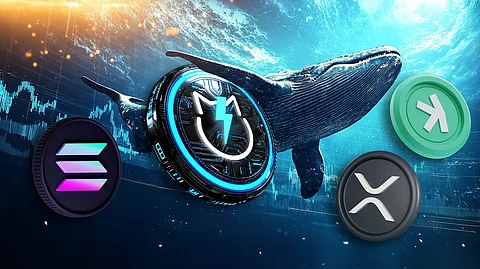 How Crypto Whales Could Win Big On Solana, XRP, JetBolt, and Kaspa