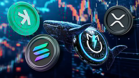 How Crypto Whales Are Winning Big With Solana, Kaspa, JetBolt, and XRP