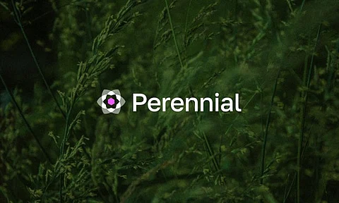 Perennial