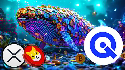 WallitIQ
