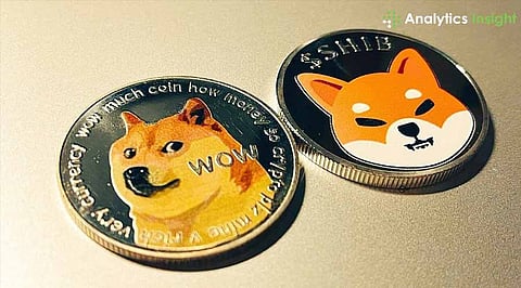 Dogecoin vs. Shiba Inu: Which MemeCoin Offered Better Returns in 2024?