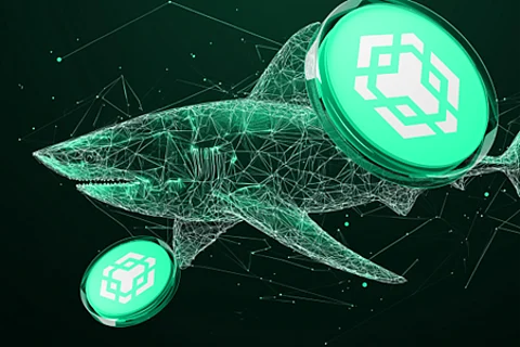 Binance Coin